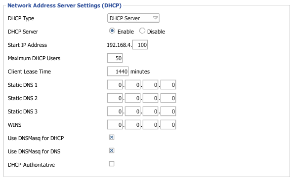Image:DHCP Using DNSMasq Basic Settings.png